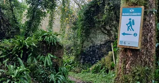vallée du Rochefollet