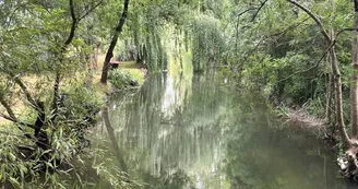 Le marais de la Seugne - Montils