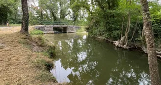 Le marais de la Seugne - Montils