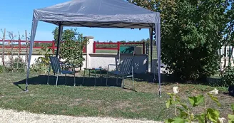 Les petits pommiers Les petits pommiers