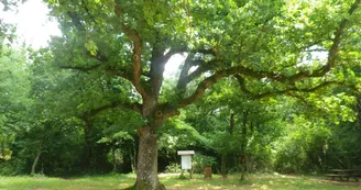 Le Bois d'Essouvert Le Bois d'Essouvert