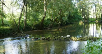 Balzac-bras de la Charente Balzac-bras de la Charente