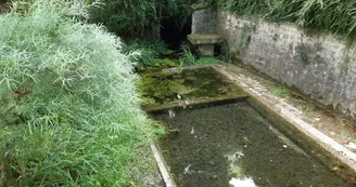 Champniers lavoir des Rossignols Champniers lavoir des Rossignols
