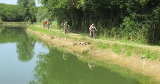 Chemin Barker Dronne Chemin Barker Dronne
