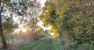 Entre champ et forêt Entre champ et forêt