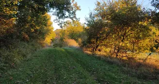 Entre champ et forêt Entre champ et forêt