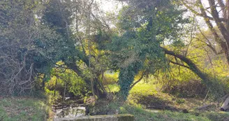 Le ruisseau Le ruisseau