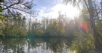 La dronne La dronne