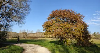 En chemin En chemin