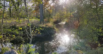 Le long de la Dronne Le long de la Dronne