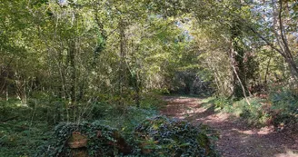 En forêt En forêt