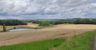Un étang Un étang