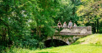 Pont Pont