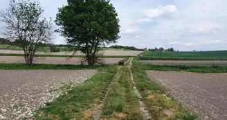 A travers champs A travers champs
