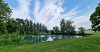 Etang de la Vergne Etang de la Vergne