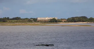 ile madame ile madame