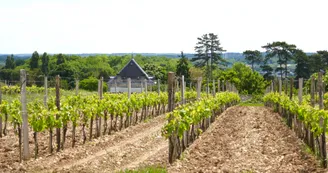 Logis de Villars Logis de Villars