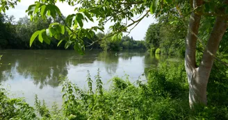 Fleuve Charente Fleuve Charente