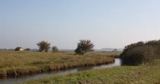 Marais de la Seudre Marais de la Seudre
