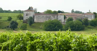 Château Maillou Château Maillou