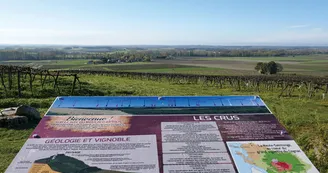 Circuit VTT des distilleries N18 Archiac Vignoble du Cognac Lonzac vignes 4 Circuit VTT des distilleries N18 Archiac Vignoble du Cognac Lonzac vignes 4
