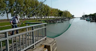 Circuit VTT La tour de Beaumont N15 St-Fort-sur-Gironde estuaire 3 Circuit VTT La tour de Beaumont N15 St-Fort-sur-Gironde estuaire 3