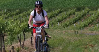 Circuit VTT Les Coteaux de l estuaire N14 Gironde Haute-Saintonge Taillon Circuit VTT Les Coteaux de l estuaire N14 Gironde Haute-Saintonge Taillon