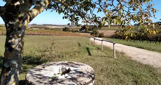Circuit pedestre Bois Galante N34 Marignac Haute-Saintonge 1 Circuit pedestre Bois Galante N34 Marignac Haute-Saintonge 1