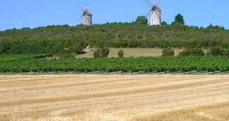 Circuit pedestre Le moulin de Chaillot N18 St-Germain-de-Vibrac Circuit pedestre Le moulin de Chaillot N18 St-Germain-de-Vibrac