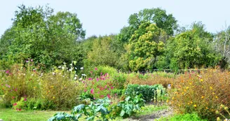Jardins d'Aigre Jardins d'Aigre