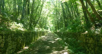 La Vallée du Coran_Dompierre-sur-Charente La Vallée du Coran_Dompierre-sur-Charente