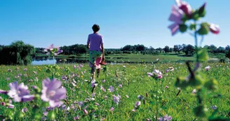 Les Lacs de Haute Charente Les Lacs de Haute Charente