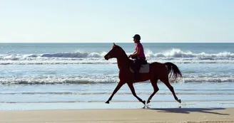 336670432ba49d678fd8507db86d6e05bd9173d1.jpeg 336670432ba49d678fd8507db86d6e05bd9173d1.jpeg