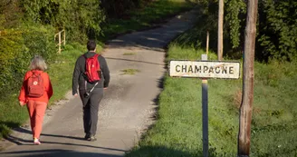 Circuit du bois des châtaigniers_Champagne