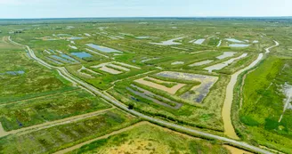 Circuit pédestre: Au détour des marais, du côté de Hiers_Marennes-Hiers-Brouage