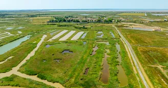 Circuit pédestre: Au détour des marais, du côté de Hiers_Marennes-Hiers-Brouage