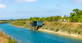 Balade / randonnée : st Georges d'Oléron, en plein cœur des marais_Saint-Georges-d'Oléron