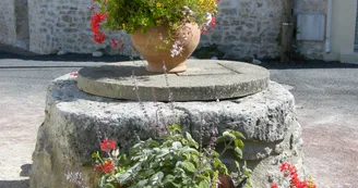 Balade / randonnée : Chaucre, entre vignoble et océan_Saint-Georges-d'Oléron