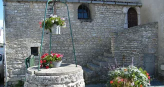 Balade / randonnée : Chaucre, entre vignoble et océan_Saint-Georges-d'Oléron