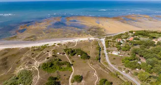 Balade / randonnée : Chaucre, entre vignoble et océan_Saint-Georges-d'Oléron