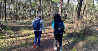 Circuit Saint-Trojan-les-Bains, la forêt domaniale_Dolus-d'Oléron