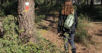 Balade pédestre : Saint-Trojan-les-Bains, la forêt domaniale_Dolus-d'Oléron