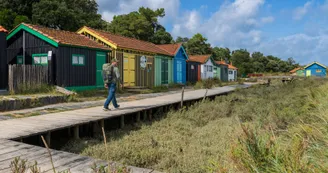 Chemin d'Oléron - de Boyardville à Saint-Denis d'Oléron_Saint-Georges-d'Oléron