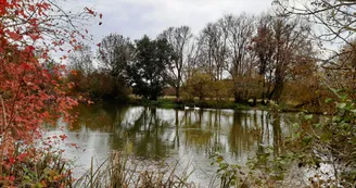 La Charente La Charente