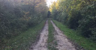 vtt3_bleu vtt3_bleu