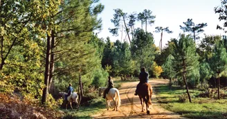troncon Route Cardinaux Pays de Haute-Saintonge randonnee equestre d Artagnan troncon Route Cardinaux Pays de Haute-Saintonge randonnee equestre d Artagnan