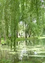 Le lavoir restauré de Lussac, en contrebas du village, sur les bords de la Seugne