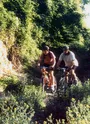 Vététistes sur un passage délicat du circuit