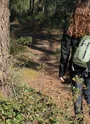 Balade Forêt