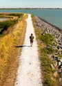Chemin d'Oléron